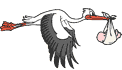 Fliegender Storch